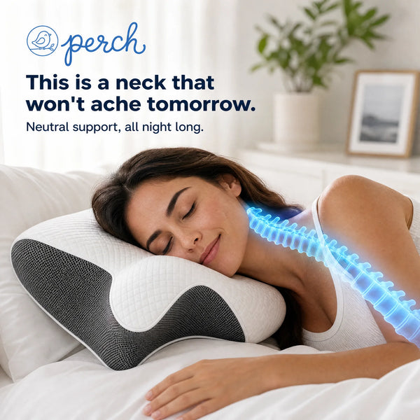 Perch Cervical Neck Support Pillow